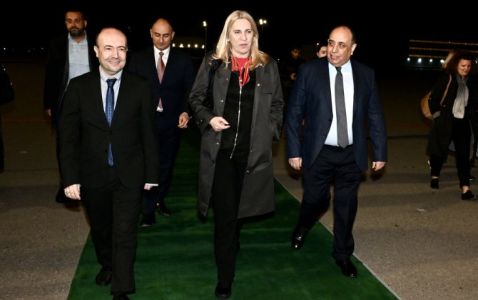 Bosniya və Herseqovina Rəyasət Heyətinin üzvü Azərbaycana səfərə gəlib