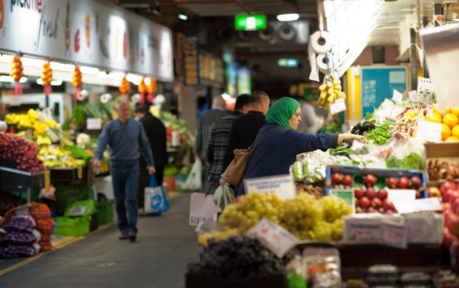 Kənd təsərrüfatında yerli sortların azalmasının səbəbləri bunlardır 