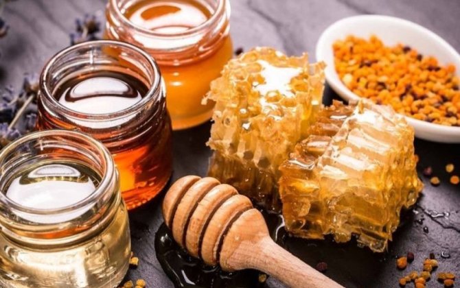 Ötən il Azərbaycanda 5 min tona yaxın bal istehsal olunub