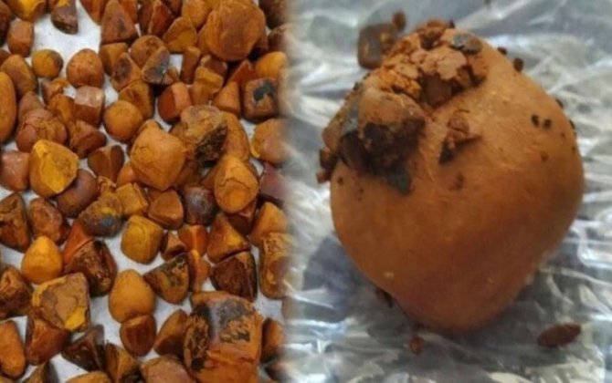 İnəkdən çıxan xəzinə: Tapan varlanır, qiyməti qızılı ikiqat üstələyir