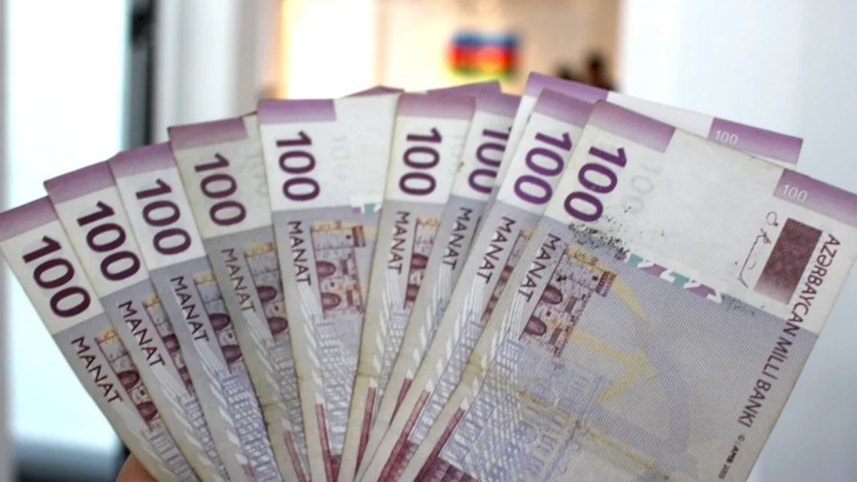 Vətəndaşların NƏZƏRİNƏ: Ödənilən cərimə vəsaitlərini geri almaq mümkün olacaq - VİDEO