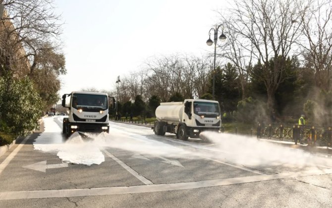 В Баку прошёл общегородской субботник к Новрузу