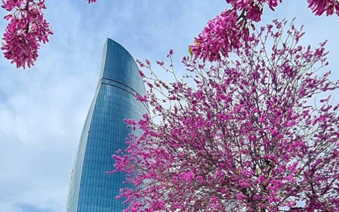 Sabah 17 dərəcə isti olacaq