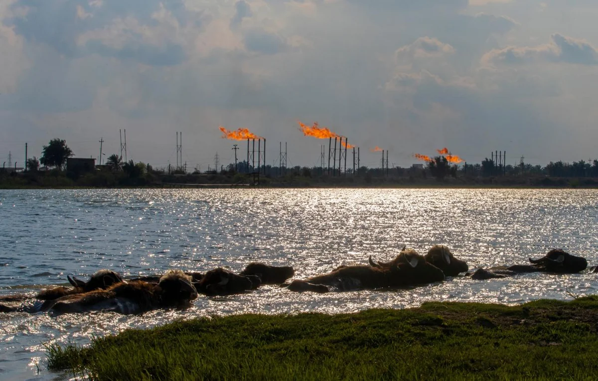 На крупнейших месторождениях юга Ирака приостановили добычу нефти