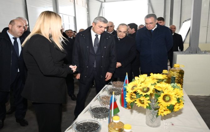 Xocavəndin Qırmızı Bazar qəsəbəsində yerləşən günəbaxan yağları zavoduna baxış keçirilib - FOTO