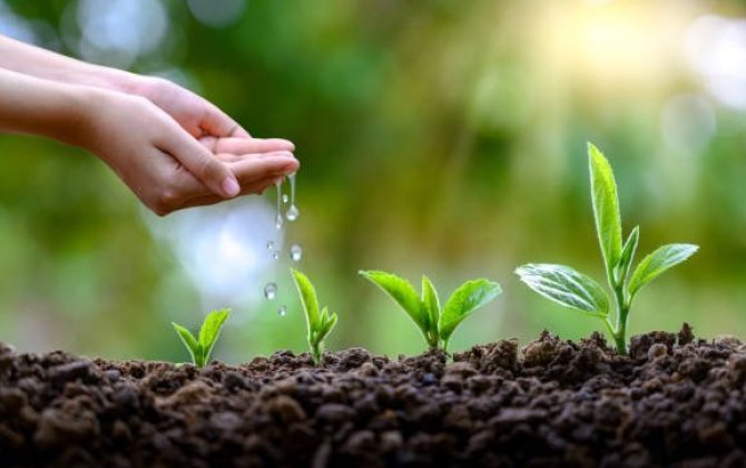 Bu gün İlaxır çərşənbədir