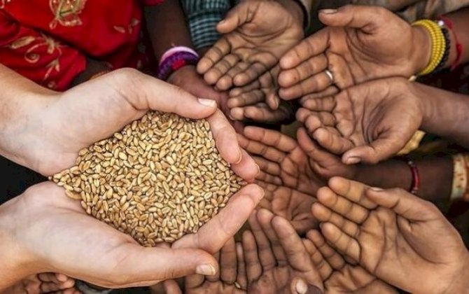 Hər kəsə eyni fitrə düşmür - Doğru hesablamanın yolu budur