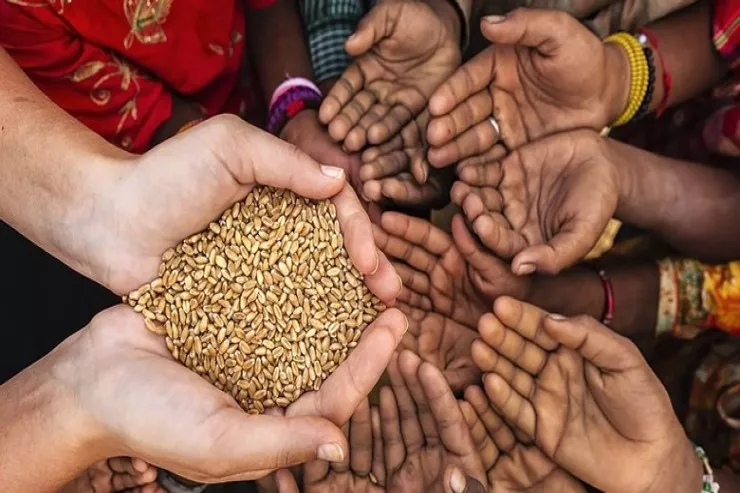 Fitrə zəkatının miqdarı nə qədərdi? - CAVAB