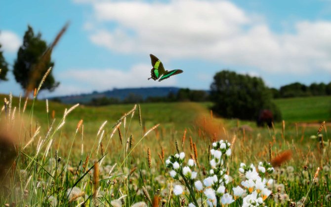 Sabah Azərbaycana yaz fəsli daxil olacaq