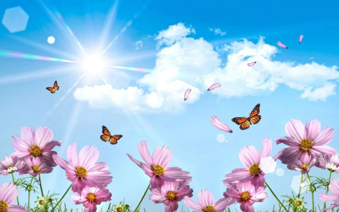 Azərbaycana yaz fəsli daxil olub