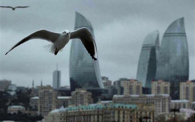 Завтра в регионах Азербайджана местами ожидаются осадки