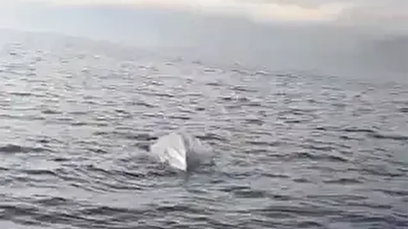 В Турции обнаружен морской дрон, возможно использовавшийся Украиной против России