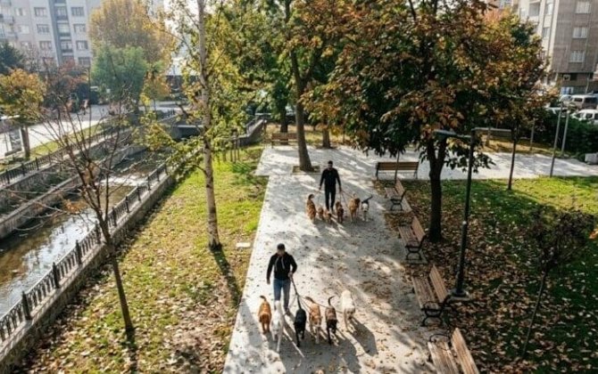 Gördüyü işdən ayda 7500 qazanır: Heç bir xərci yoxdur, qazancı özünə qalır