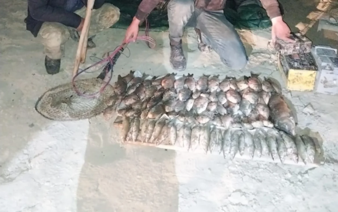 Kür çayında cərəyanla qanunsuz balıq ovlayan 3 nəfər saxlanılıb