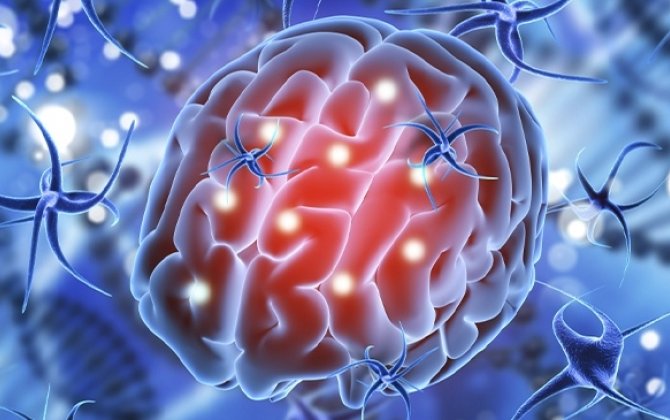 Böyük Britaniyada təhlükəli VİRUS – Azərbaycan üçün də siqnal ola bilərmi?