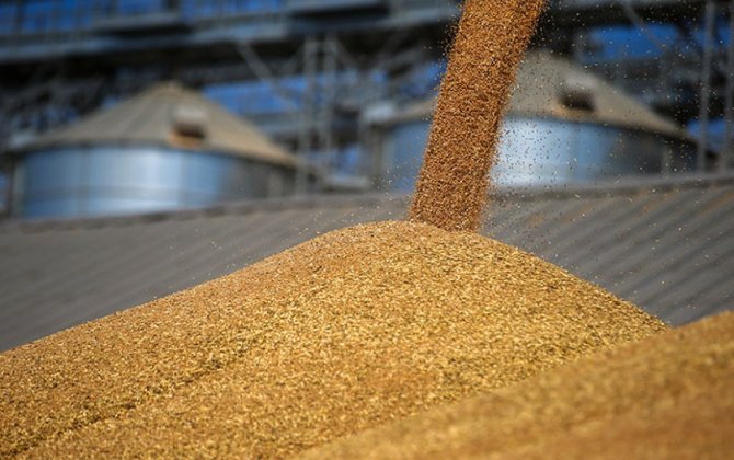 Запрет Казахстана для российского зерна