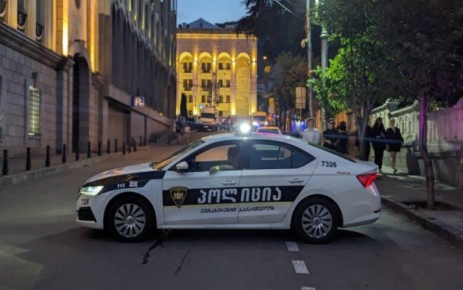 В Грузии задержан 41 нелегальный мигрант, включая граждан Азербайджана