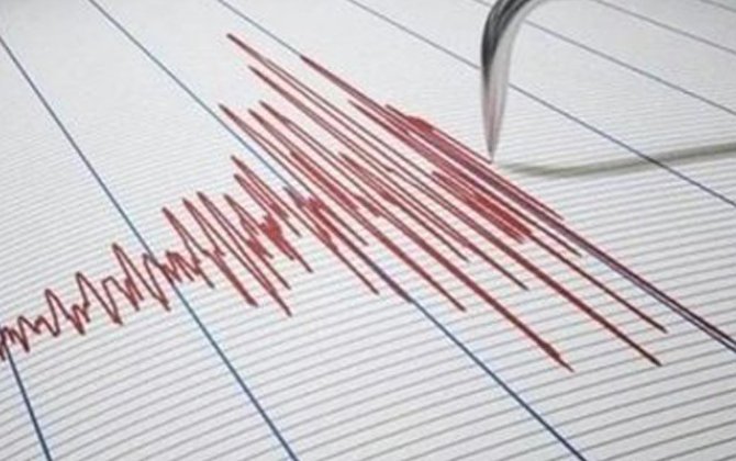 В Турции произошло землетрясение магнитудой 4,3