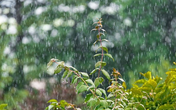 Havanın temperaturu 5 dərəcə enəcək - XƏBƏRDARLIQ