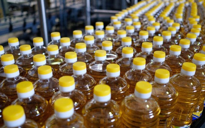 В Азербайджане увеличилось производство растительных масел