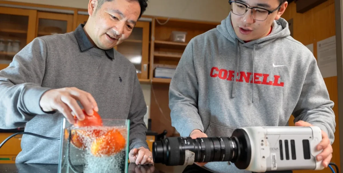 На 90% чище: разработан революционный способ мытья фруктов и овощей-ВИДЕО