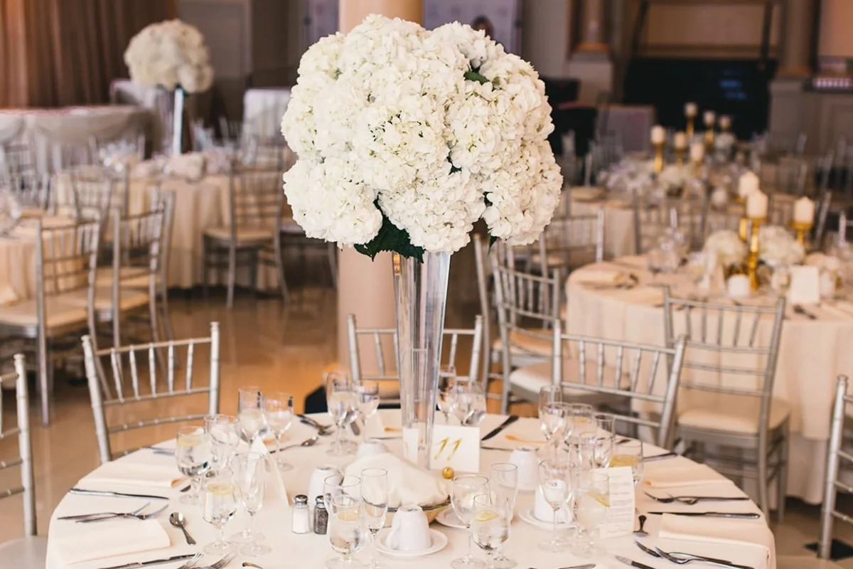 Restoran sahiblərindən qiymətlərlə bağlı açıqlama - VİDEO