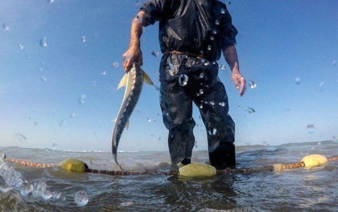 Sabahdan ölkənin bəzi ərazilərində balıq ovu qadağan edilir