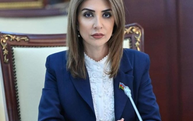 “Sosial mediada göstərilən ‘ideal həyat’ ilə real imkan gənclərdə depressiyanı artırır” – Günay Ağamalıyeva