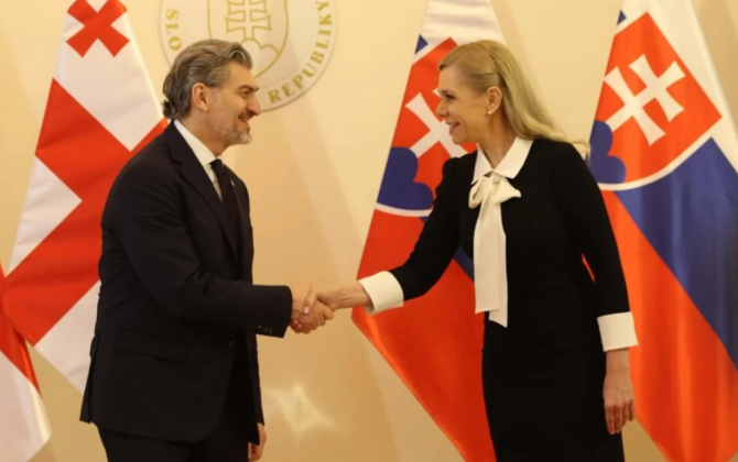 Gürcüstan Prezidenti və Slovakiyanın Baş nazirinin müavini sahəvi əməkdaşlığı müzakirə ediblər