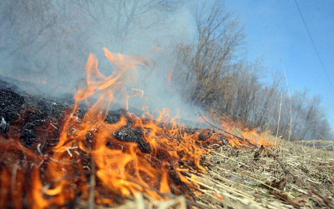 Kəlbəcərdə meşəlik ərazidə baş verən yanğın söndürüldü