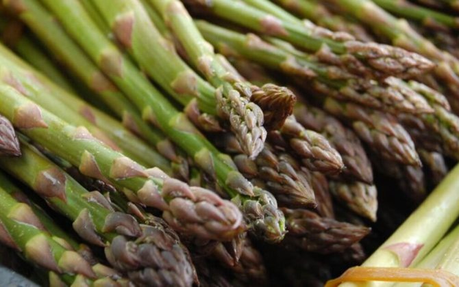 Baharda gələn şəfa - Qulançarın bilmədiyimiz 7 möcüzəvi faydası