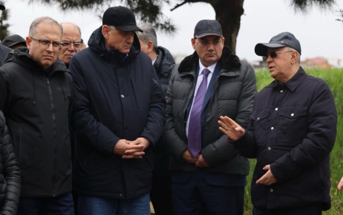 Kəmaləddin Heydərov Badamdarda sürüşmə sahəsinə baxış keçirib - VİDEO - FOTO