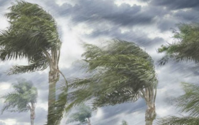 В Азербайджане объявлено желтое и оранжевое предупреждение в связи с ветром