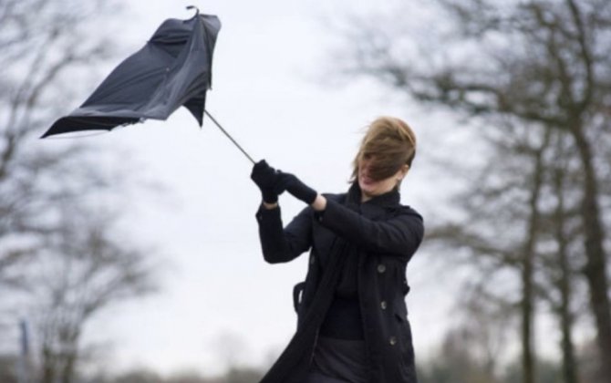 Порывы ветра в Баку и на Абшероне превысили 20 м/с