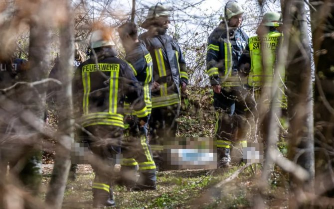 В Германии сильный ветер повалил дерево на людей, погибли три человека