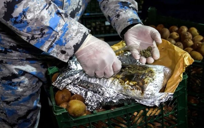 Kivi yükü aparan nəqliyyat vasitəsində külli miqdarda narkotik aşkarlandı - FOTO/VİDEO