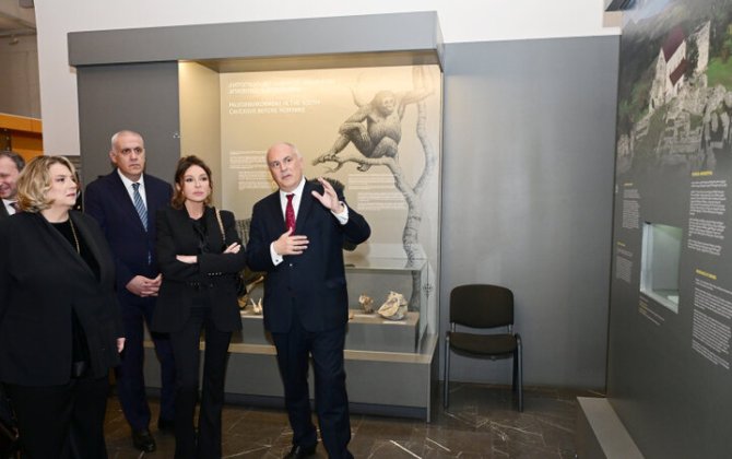 Мехрибан Алиева в Национальном музее Грузии - Фото