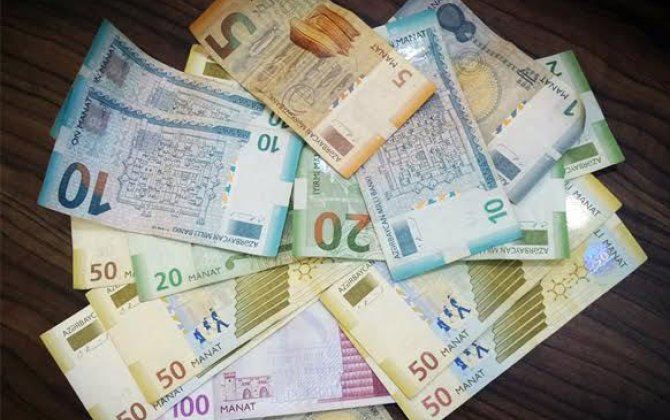 Manatın ritmi pozulur: Onun dövriyyəsi niyə yavaşlayır?