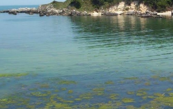 Qobustanda FACİƏ: azyaşlı gölməçədə BOĞULDU