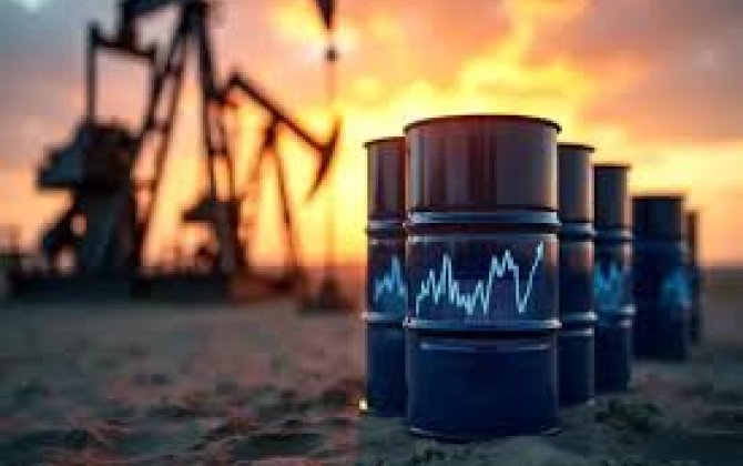 Цена азербайджанской нефти понизилась более чем на $20