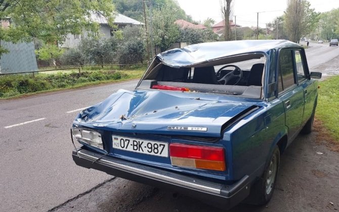 Lənkəranda ağac hərəkətdə olan maşının üzərinə aşdı - Xəsarət alanlar var