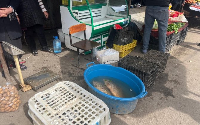 Tovuzda bazarda yoxlama keçirildi: Nöqsanlar aşkarlandı - FOTOLAR