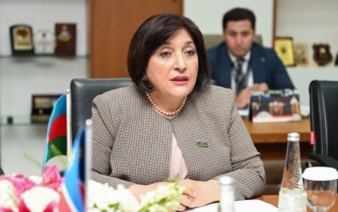 Гафарова: Встречи парламентариев Азербайджана, Турции, Северного Кипра служат укреплению солидарности