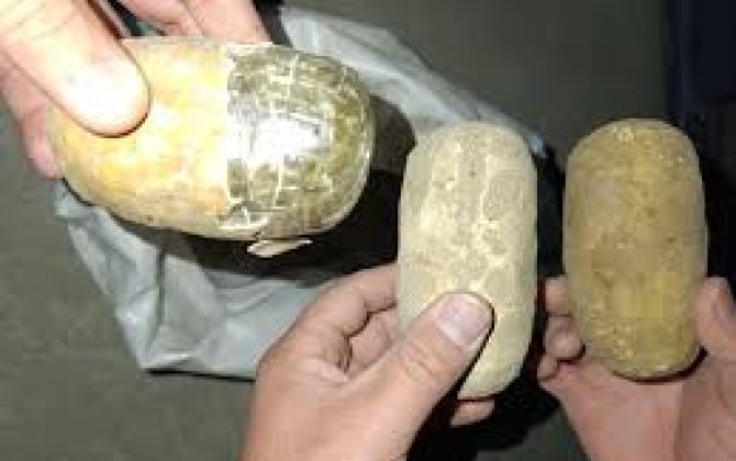 В Узбекистане более 190 кг гашиша пытались перевезти в афганских казанах