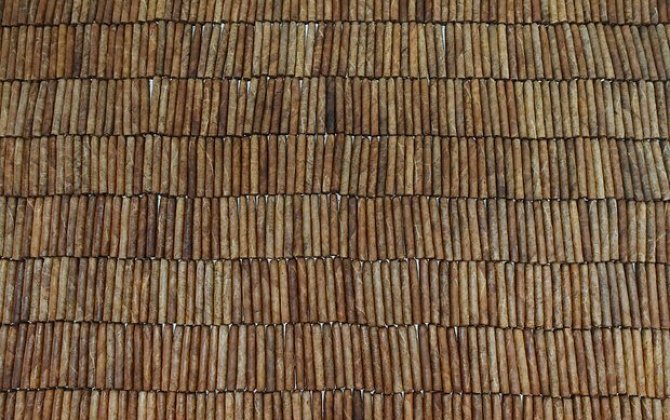 Rusiya Türkiyənin bu məhsulundan imtina etdi