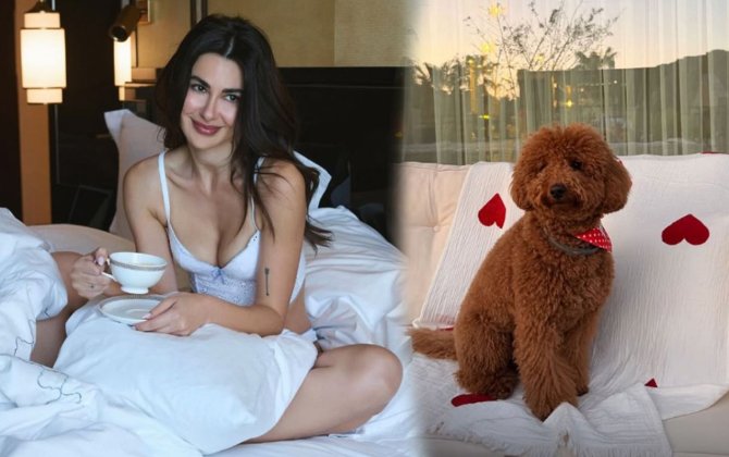 Nəsrin Cavadzadə iti üçün dəbdəbəli ad günü keçirdi - VİDEO