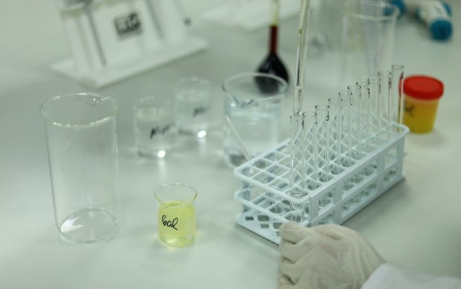 Balın təbiiliyi necə müəyyən olunur? - VİDEO