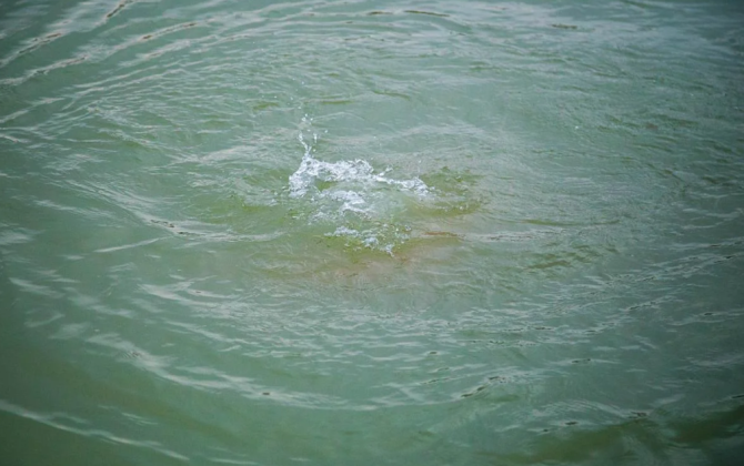 Tərtərdə 7 yaşlı qız kanala düşərək boğulub