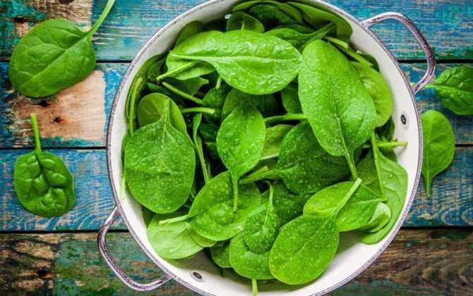 Hər gün ispanaq yeməyin faydasını bilirsiniz?