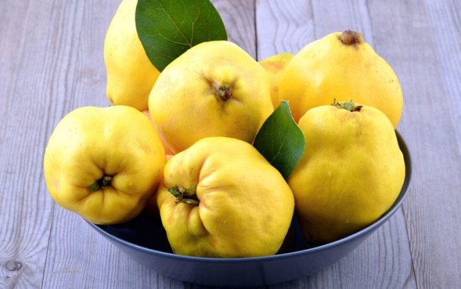 3 möcüzə üçün bunu yeyin